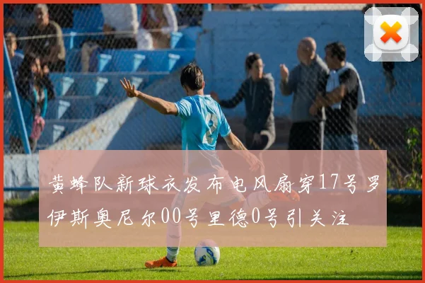 黄蜂队新球衣发布电风扇穿17号罗伊斯奥尼尔00号里德0号引关注