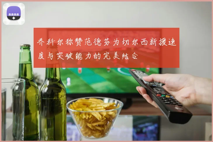 乔科尔称赞范德芬为切尔西新援速度与突破能力的完美结合